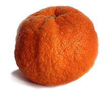 Orange "amère" Bio