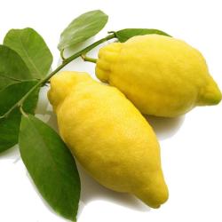 Citron Cédrat Bio