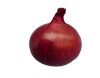 Oignon rouge botte  Bio