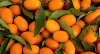 Kumquat Bio
