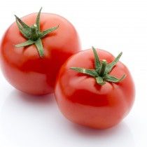 Tomate Bio "Gloriette"