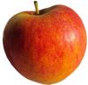 Pomme Bio "wellant"