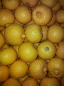 Citron bergamotte Bio