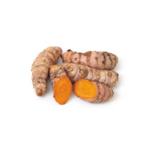 Curcuma frais Bio