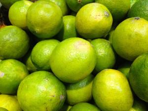 Citron vert Lime Bio