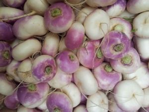 Navet "primeur" Bio  