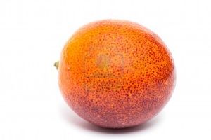 Orange "Sanguine" Bio