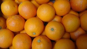 Orange "Maltaise"