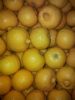 Citron bergamotte Bio