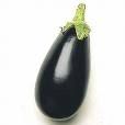 Aubergine Bio