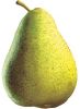 Poire Guyot Bio