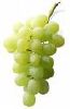 Raisin blanc Bio "Italia"