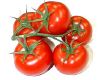 Tomate grappe Bio