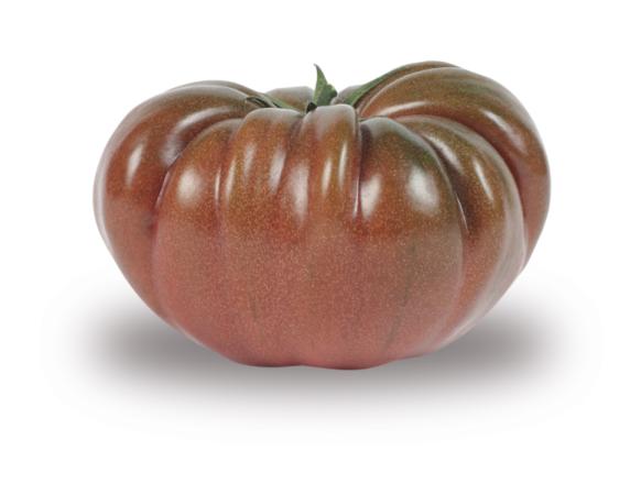 Tomate noire de Crimée Bio