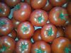 Tomate ronde  Bio